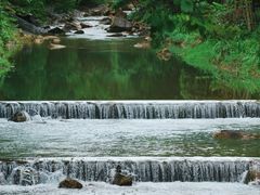 -广州白江湖森林公园