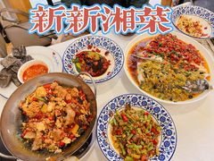-新新湘菜馆(新中街二条店)