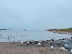 -青海湖二郎剑景区