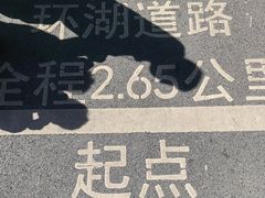 -海珠湖公园