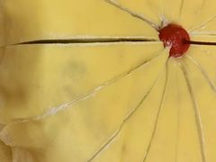 -荣誉国际酒店-海鲜自助餐厅(迎宾大道店)