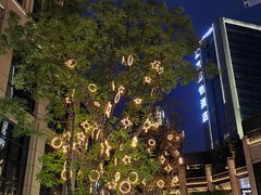-造精酿餐厅