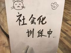 -袖虎·猫馆(体育西路店)