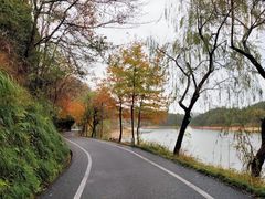 -千岛湖龙川湾