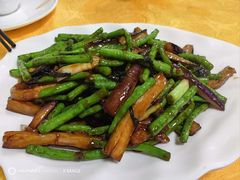 -新合益乡村农庄