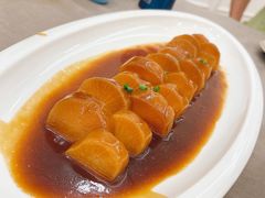 -丁老爷子苏香圆