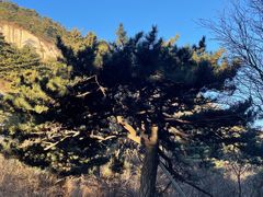 -华山风景名胜区