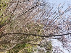 -同里国家湿地公园