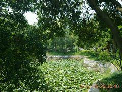 android_upload_pic-林屋洞景区