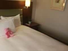 -上海浦东华美达大酒店