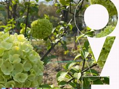 -合肥三国新城遗址公园