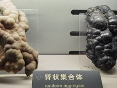 -中国地质博物馆