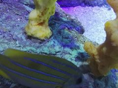 -沈阳海洋探索中心