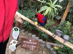 -南宫五洲植物乐园