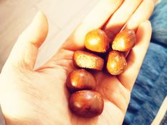 -小栗王(木渎店)