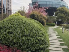 -北外滩滨江绿地