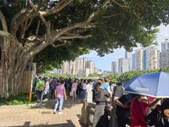 -光明港公园