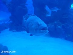 -成都浩海立方海洋公园