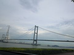 -海鸥岛