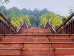 -铁山坪森林公园