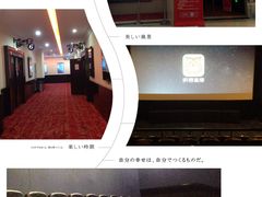 -AMG海上明珠影城(上海环球港RealDCinema店)