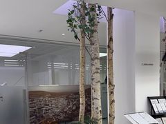 -极简口腔(总院)