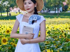 -苏州湾体育公园