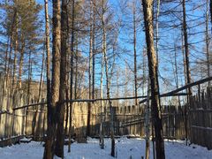 -北极村旅游风景区