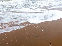 -北戴河东海水浴场