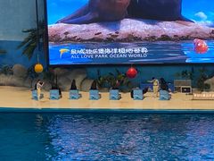 -泉城欧乐堡海洋极地世界