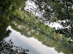 -西湖游船