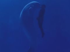 -多彩贵州城极地海洋世界