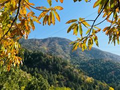 -北京十三陵国家森林公园蟒山景区