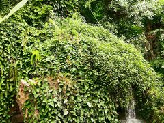 -郑州植物园