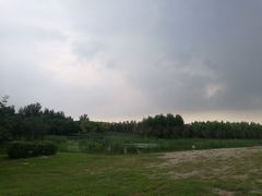 -东郊湿地公园