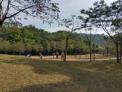 -中山市树木园