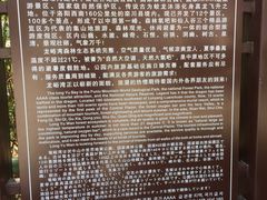 -龙峪湾国家森林公园