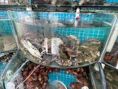 -仙螺岛海鲜自助餐厅(总店)