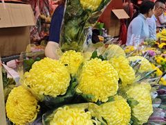 -越秀西湖花市(广州城市广场花卉店)