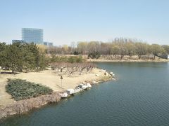 -大兴滨河森林公园