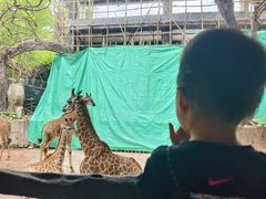 -长鹿旅游休博园