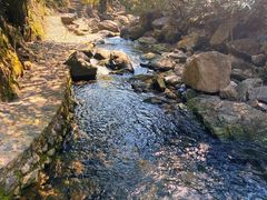 -宁波五龙潭景区