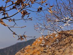 -北京十三陵国家森林公园蟒山景区