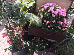 -胡桃里乐队酒馆(鎏嘉码头店)