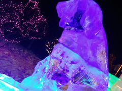 -长春公园(普阳街道)