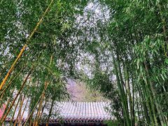 -潭柘寺景区