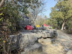 -苏州太湖国家湿地公园