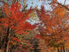 -崂山九水游览区