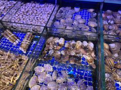 -青蓬蒸汽海鲜·深圳老字号·团建聚会(壹方城店)
