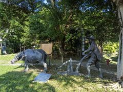 -广州神农草堂中医药博物馆